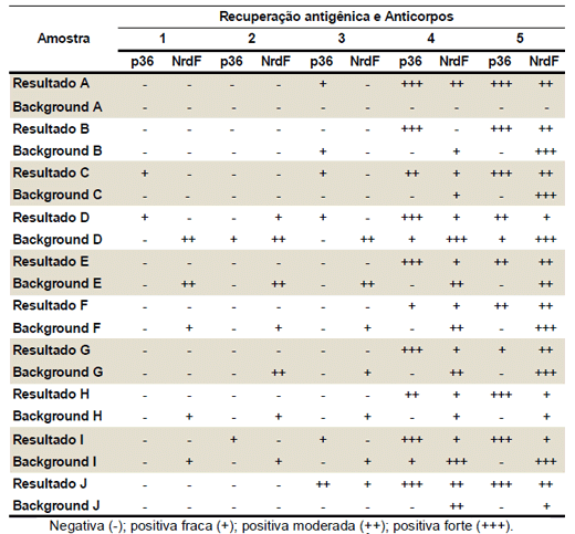 Avaliação de diferentes formas de recuperação antigênica na técnica de Imunoistoquímica para mycoplasma hypneumoniae em pulmões de suínos - Image 1