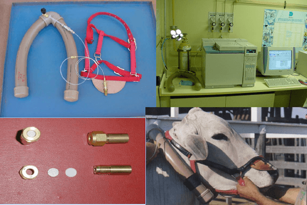 Gases de efeito estufa e a sustentatibilidade de fazendas de produção de carne bovina - Image 1