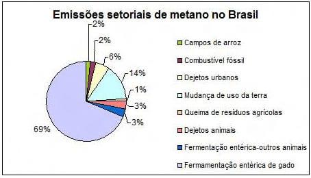 Estimativas das emissões de metano em Minas Gerais e no Brasil - Image 2