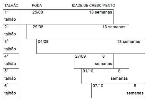 Sistemas de utilização de dois cultivares de amoreira em duas idades de crescimento vegetativo, no desempenho do bicho-da-seda (bombyx mori l.) - Image 1