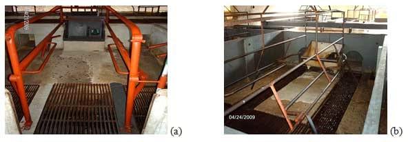 Uso de ardósia na construção de celas de maternidade: I - Efeito sobre o ambiente e comportamento de suínos - Image 1