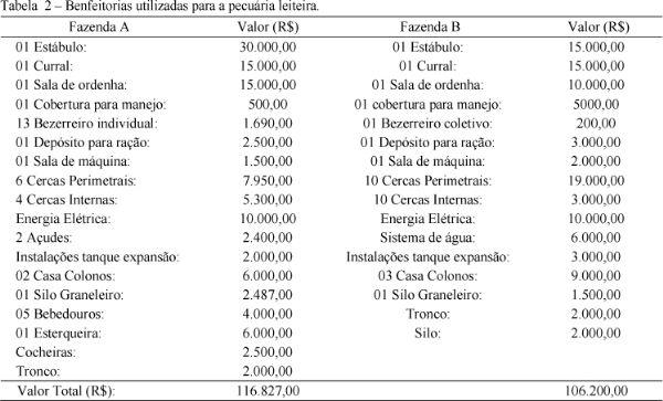 Análise comparativa dos custos de produção de duas propriedades leiteiras, no município de Unaí-MG, no período de 2003 e 2004 - Image 2