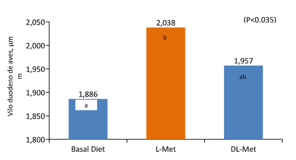 Figure 6. Tamanho de vilos no duodeno de aves aos 21 dias de idade quando alimentadas com dieta de L-Metionina e DL-Metionina (adaptado de Shen et al. 2015).