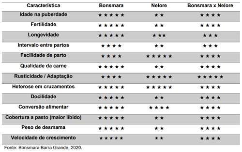 Tabela 01. Características herdáveis de animais das raças Bonsmara, Nelore e os produtos do cruzamento Bonsmara x Nelore.