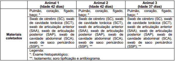 Protocolo de manejo clínico e vigilância em casos de surto de streptococcus suis em leitões desmamados - Image 1