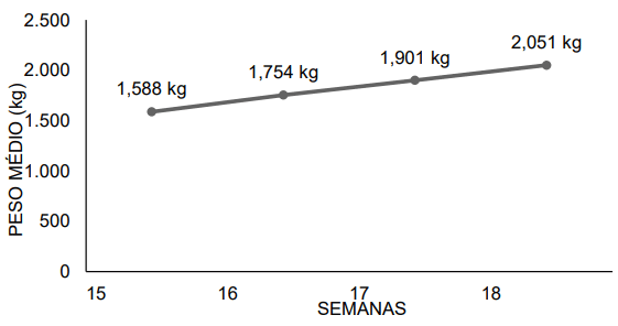 Figura 1- Peso médio geral durante as semanas 15, 16, 17 e 18.