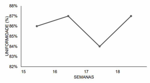 Figura 2- Uniformidade durante as semanas 15, 16, 17 e 18.