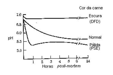 Figura 2- Curvas de queda do pH post-mortem (FORREST et al., 1979). 