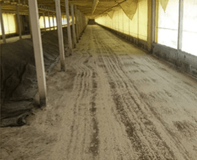 Eficiência do protocolo de fermentação em cama de aviário para controle de salmonela - Image 9