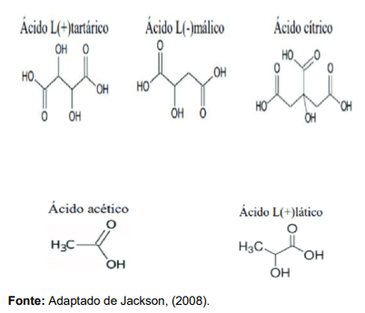 FIGURA 1: Estrutura Molecular dos ácidos orgânicos