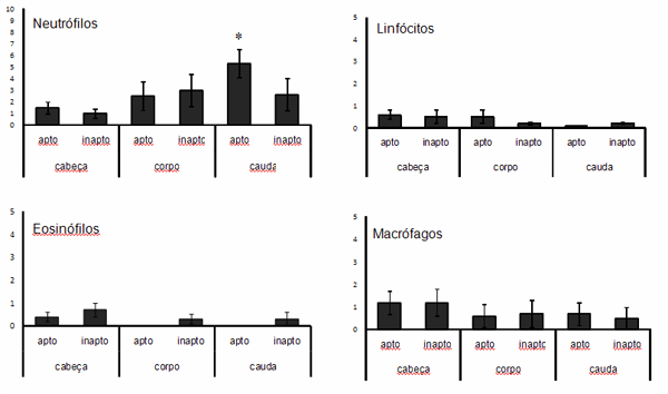 Análise das características morfológicas, condensação anormal da cromatina espermática e perfil leucocitário entre regiões do epidídimo em touros de corte. - Image 1