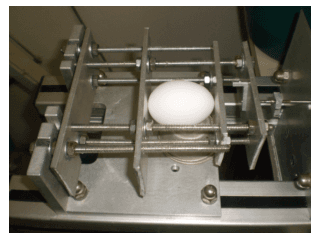 Uso da água resfriada na qualidade de ovos de aves poedeiras criadas em ambiente controlado - Image 3