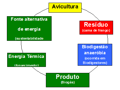 Uso da Cama de Frango na Produção de Biogás . - Image 2