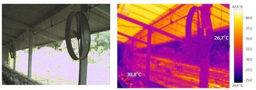 Análise de imagens em aviário de postura com sistemas de climatização - Image 4