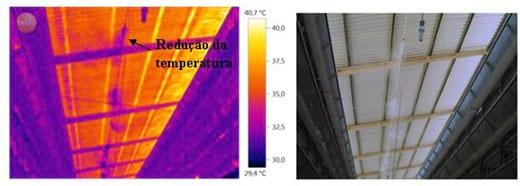 Análise de imagens em aviário de postura com sistemas de climatização - Image 5