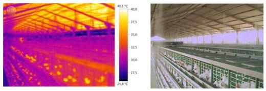 Análise de imagens em aviário de postura com sistemas de climatização - Image 7