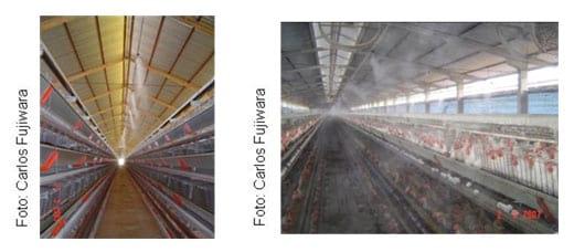 Análise de imagens em aviário de postura com sistemas de climatização - Image 9
