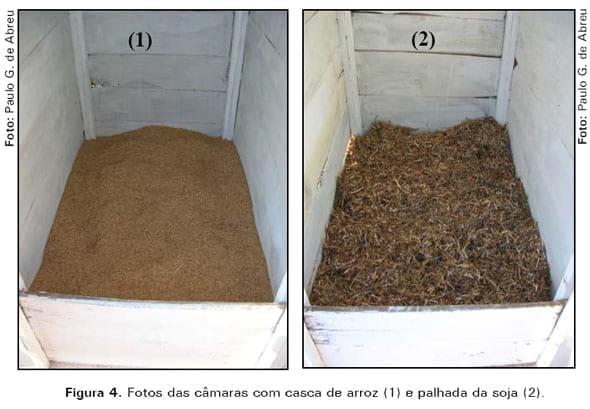 Casca de arroz e palhada da soja como substrato para compostagem de carcaças de frangos de corte - Image 6