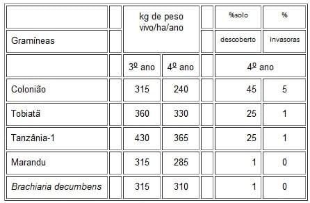 Considerações sobre índices de produtividade da pecuária de corte em Mato Grosso do Sul - Image 13