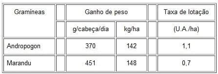 Considerações sobre índices de produtividade da pecuária de corte em Mato Grosso do Sul - Image 11