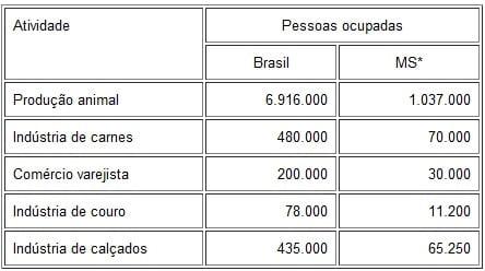 Considerações sobre índices de produtividade da pecuária de corte em Mato Grosso do Sul - Image 2