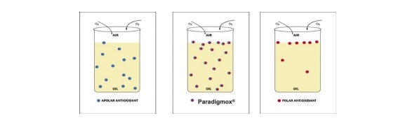 Propriedades, estudos e dose recomendada de PARAdigmOX® White Dry: Diferenciação química e de eficiência em relação ao BHT. - Image 2
