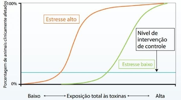 Micotoxicose: A doença silenciosa - Image 3