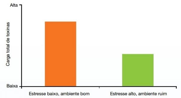 Micotoxicose: A doença silenciosa - Image 2