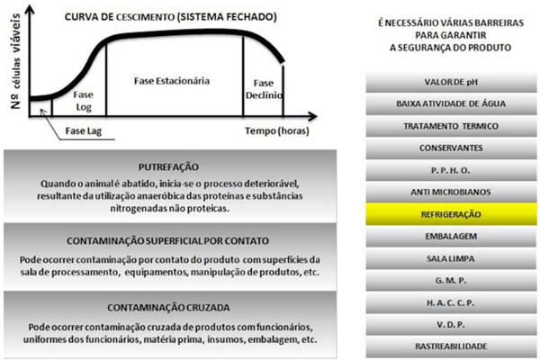 Como ser assertivo nos projetos - Image 1
