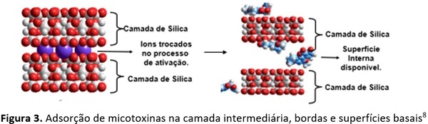Quais são os pontos chaves na hora da escolha de um adsorvente de micotoxina? - Image 3