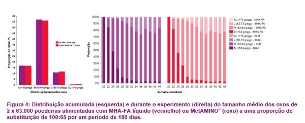 126.000 poedeiras não mentem: O valor nutricional do hidroxianálogo de DL-metionina corresponde a 65% do valor do MetAMINO® - Image 7