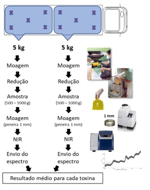 Amostragem para análises de micotoxinas - Image 7