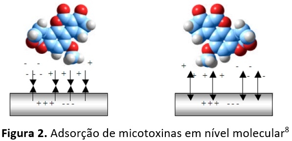 Quais são os pontos chaves na hora da escolha de um adsorvente de micotoxina? - Image 2