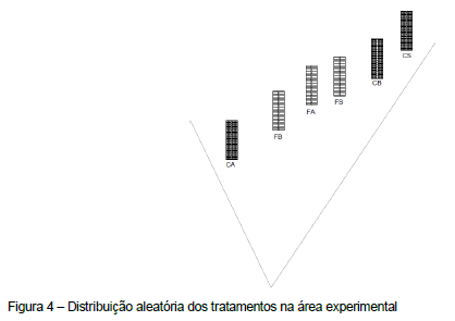 Avaliação da eficiência térmica de materiais utilizados como sistemas de cobertura em instalações avícolas - Image 12