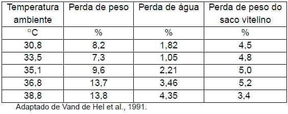 Importância da água na produção de frangos de corte - Image 1