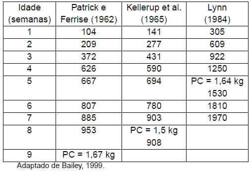 Importância da água na produção de frangos de corte - Image 4