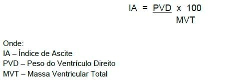 Distúrbios metabólicos em frangos de corte - Image 12