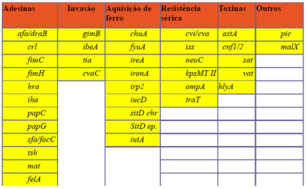 Proposta de análise de risco e de suporte à decisão para a produção e sanidade avícola com a utilização de inteligência artificial - Image 7