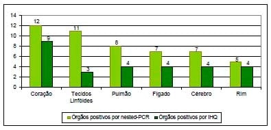 Causas infecciosas de problemas reprodutivos na produção de suínos - Image 5