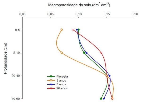 Aplicações de dejetos de suínos e as propriedades do solo - Image 8
