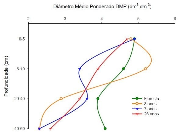 Aplicações de dejetos de suínos e as propriedades do solo - Image 9