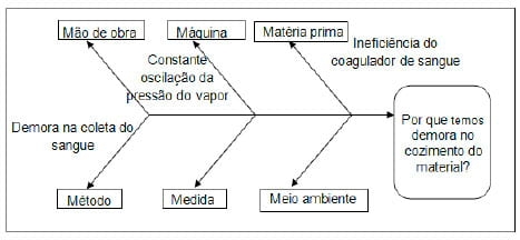 Aplicação do ciclo PDCA (PLAN, DO, CHECK, ACTION) no rendimento de farinha de sangue em uma indústria frigorífica - Image 6