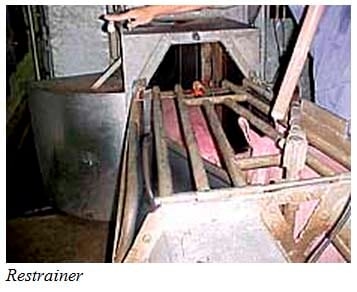 Recomendações técnicas para o manejo pré-abate e qualidade de carne - Image 4