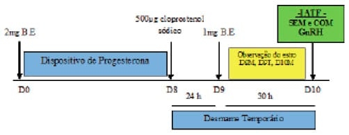 Avaliação do desempenho reprodutivo de vacas de corte lactantes submetidas à IATF a partir da aplicação do GnRH, da manifestação estral, da reutilização de dispositivos intravaginais e da condição corporal - Image 2