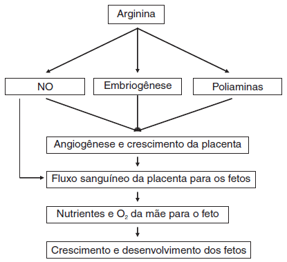Fatores que influenciam o peso do leitão ao nascimento - Image 2