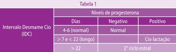 Cio de Lactação em porcas: mito ou realidade. - Image 3
