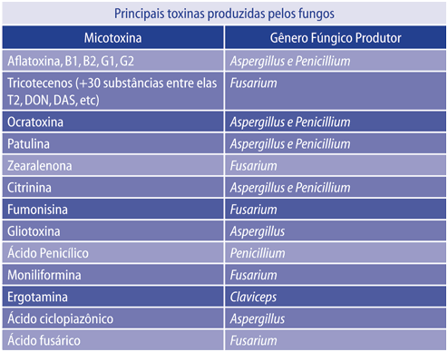 Interação entre sistema imunológico do suíno e micotoxicose - Image 3