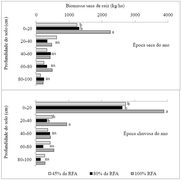 Sistemas agrossilvipastoris como alternativa para produção de ruminantes - Image 7
