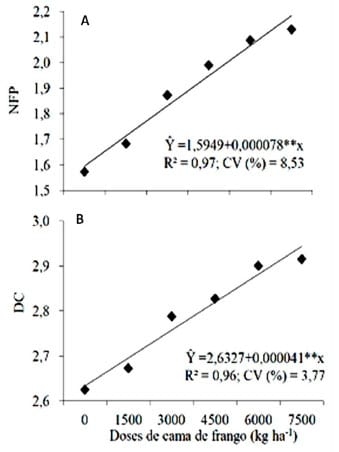Características estruturais da aveia preta comum sob doses crescentes de cama de frango - Image 2