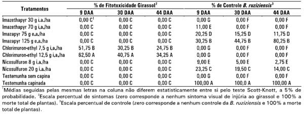 Integração lavoura-pecuária: a cultura do girassol consorciada com Brachiaria ruziziensis - Image 11